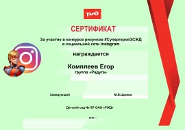 Сертификат-СупергеройЗСЖД_thumb207.jpg